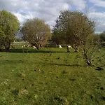 The Little Flock Farm