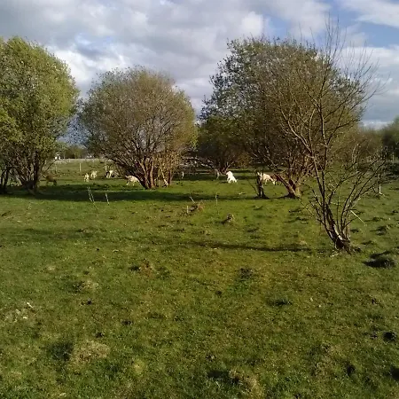 The Little Flock Farm