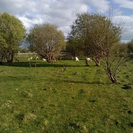 The Little Flock Farm