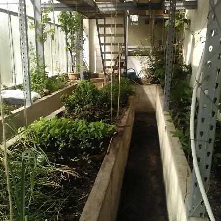 The Little Flock Farm