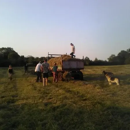 The Little Flock Farm Cloonmore
