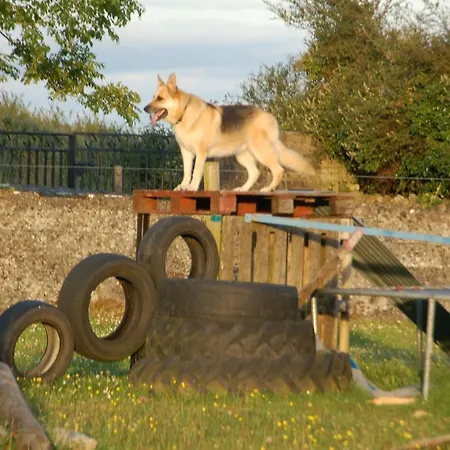 The Little Flock Farm