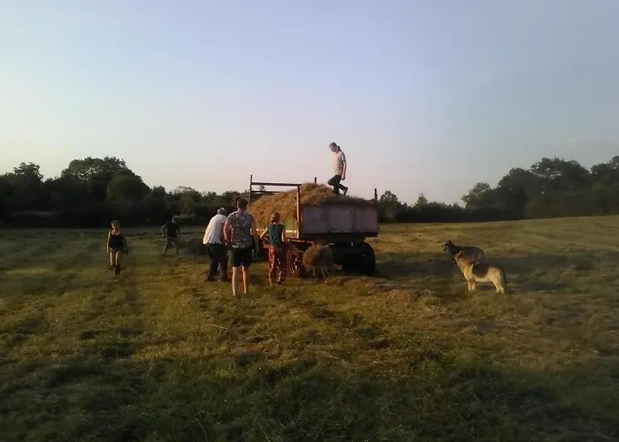 The Little Flock Farm Cloonmore