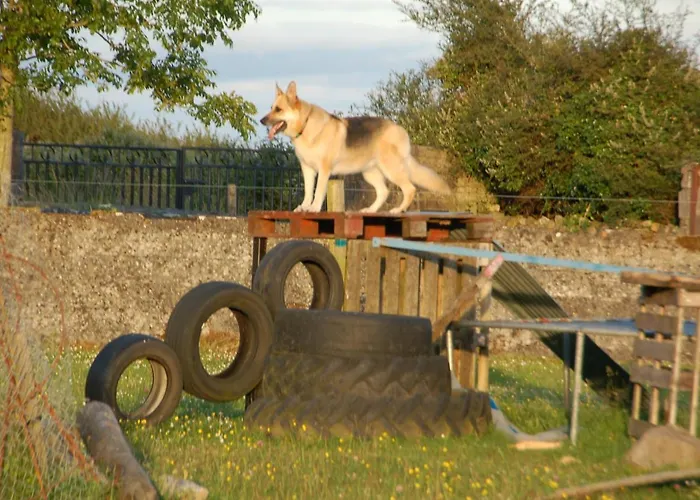 The Little Flock Farm
